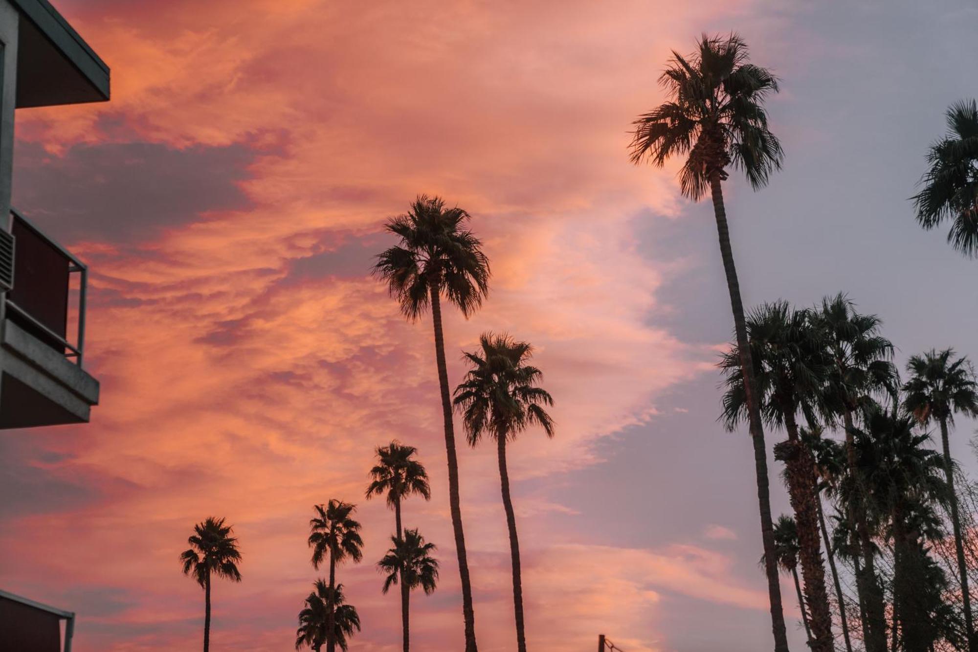 Hotel Royal Sun Palm Springs Exterior foto